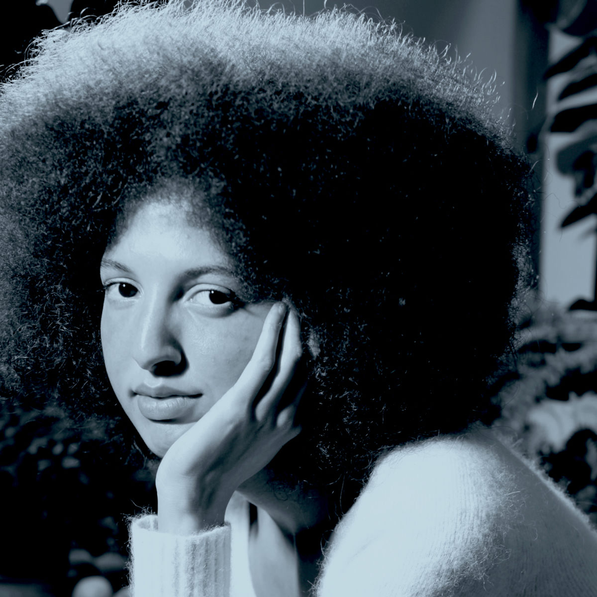 Artist picture of Nala Sinephro