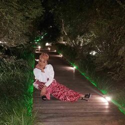 Picture of Anika Noni Rose