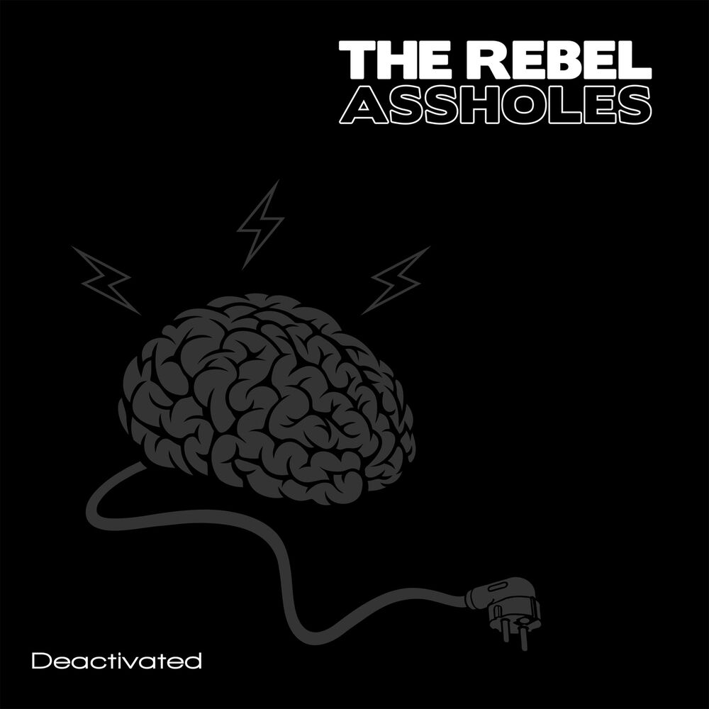 Picture of The Rebel Assholes