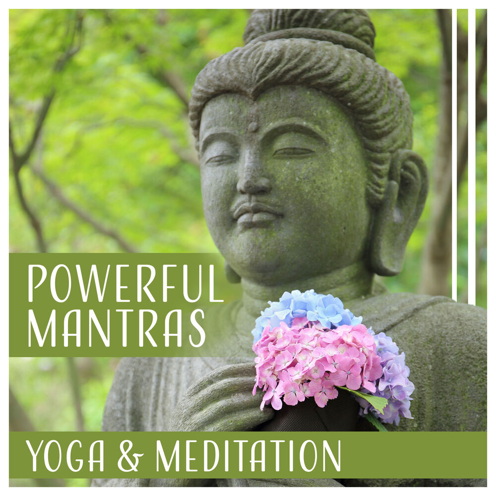 Picture of Meditation Mantra Academy