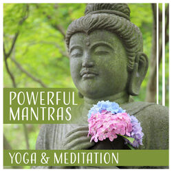 Picture of Meditation Mantra Academy