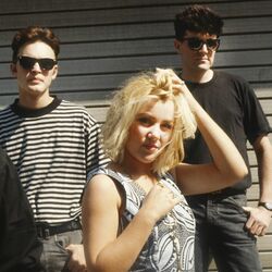 Picture of The Darling Buds