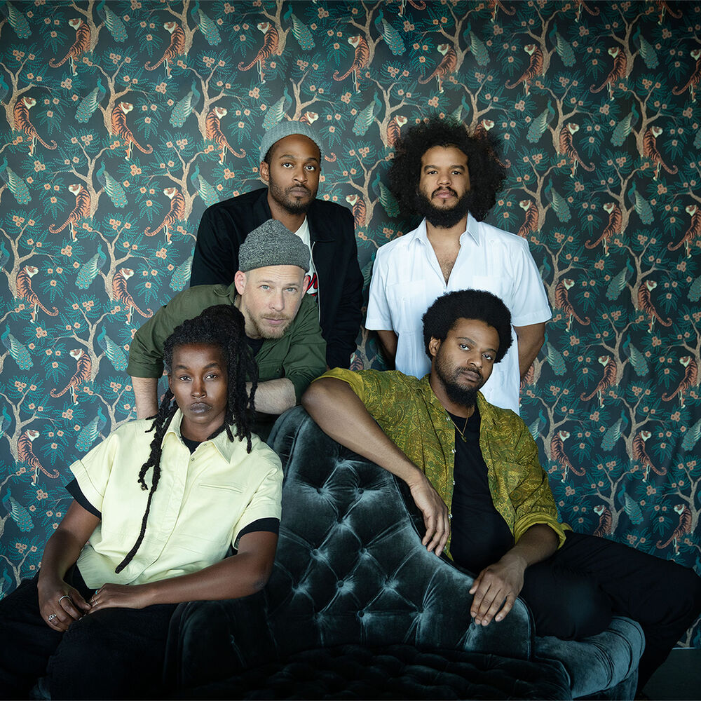 Picture of Irreversible Entanglements