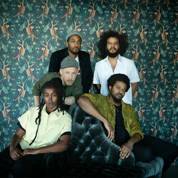 Picture of Irreversible Entanglements
