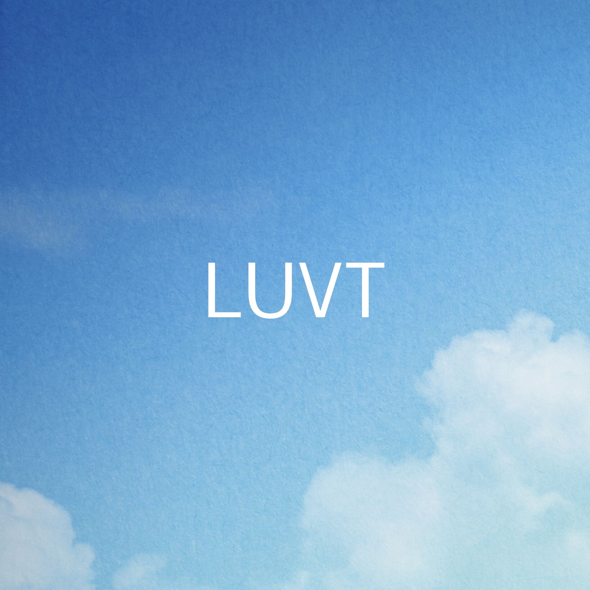 Artist picture of LUVT
