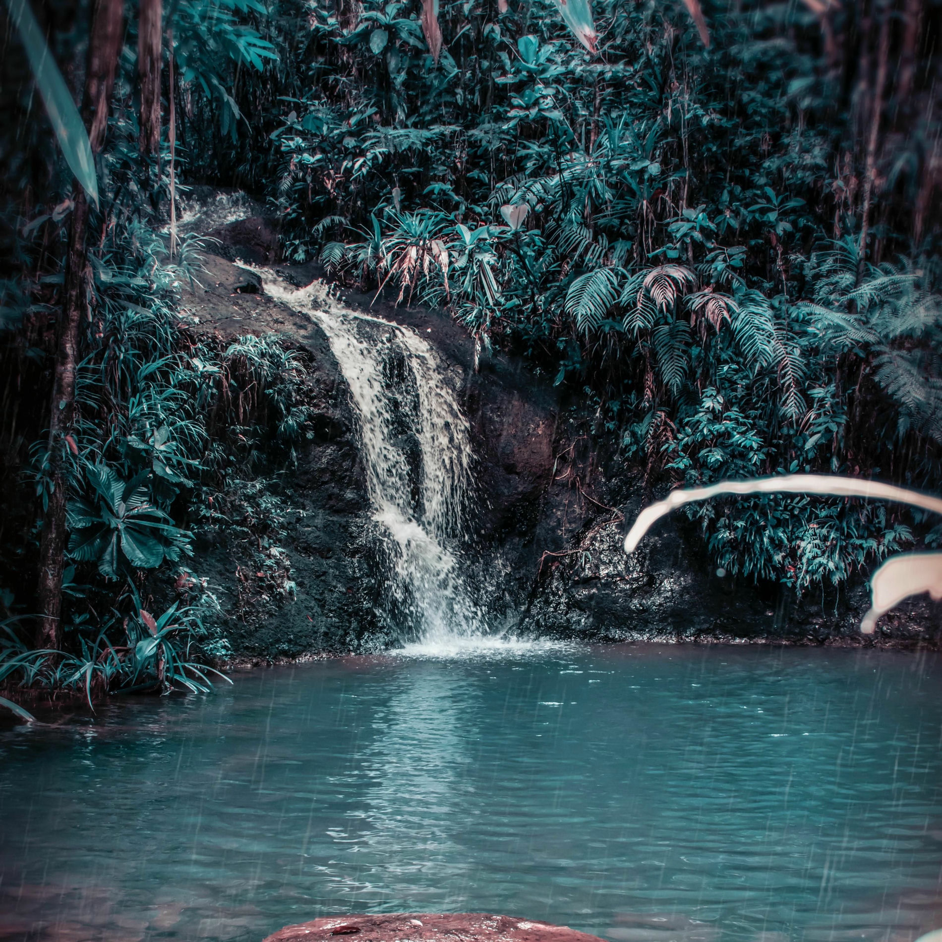 Meditation Nature Sounds