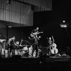 Picture of The Bluesanovas