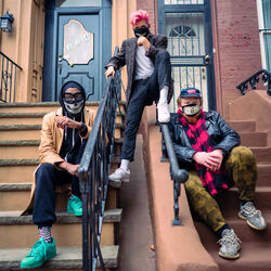 Picture of Too Many Zooz