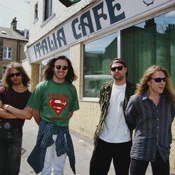 Picture of Terrorvision