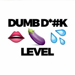 Picture of Level