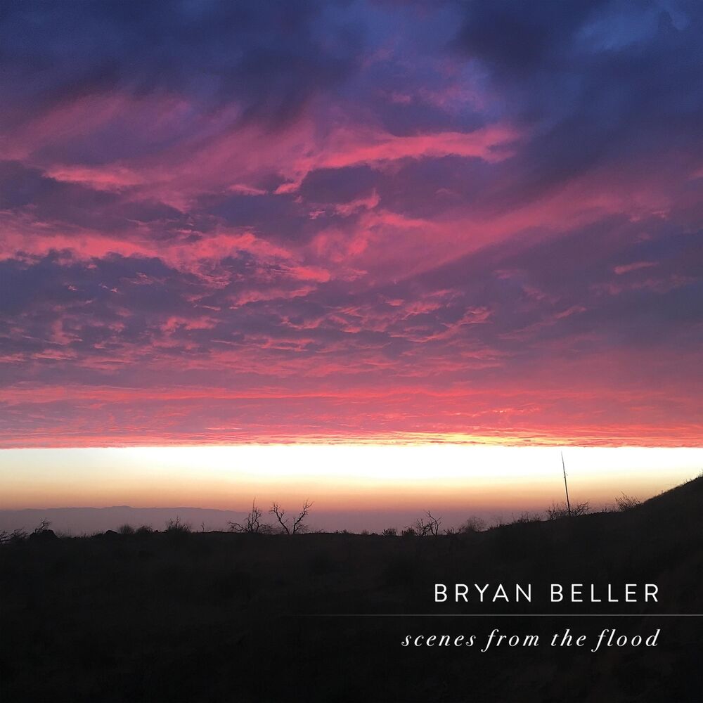 Picture of Bryan Beller