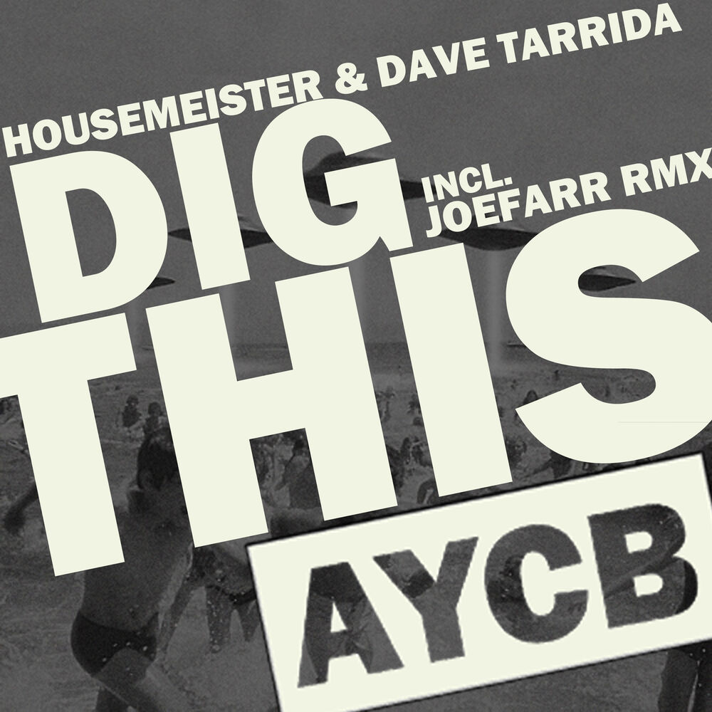 Picture of Housemeister & Dave Tarrida