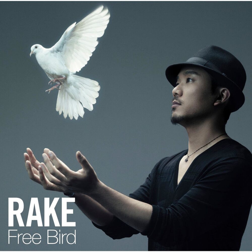 Picture of Rake