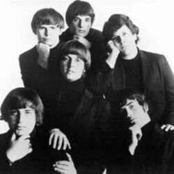 Picture of The Turtles