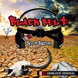 Picture of Black Belt Sound System