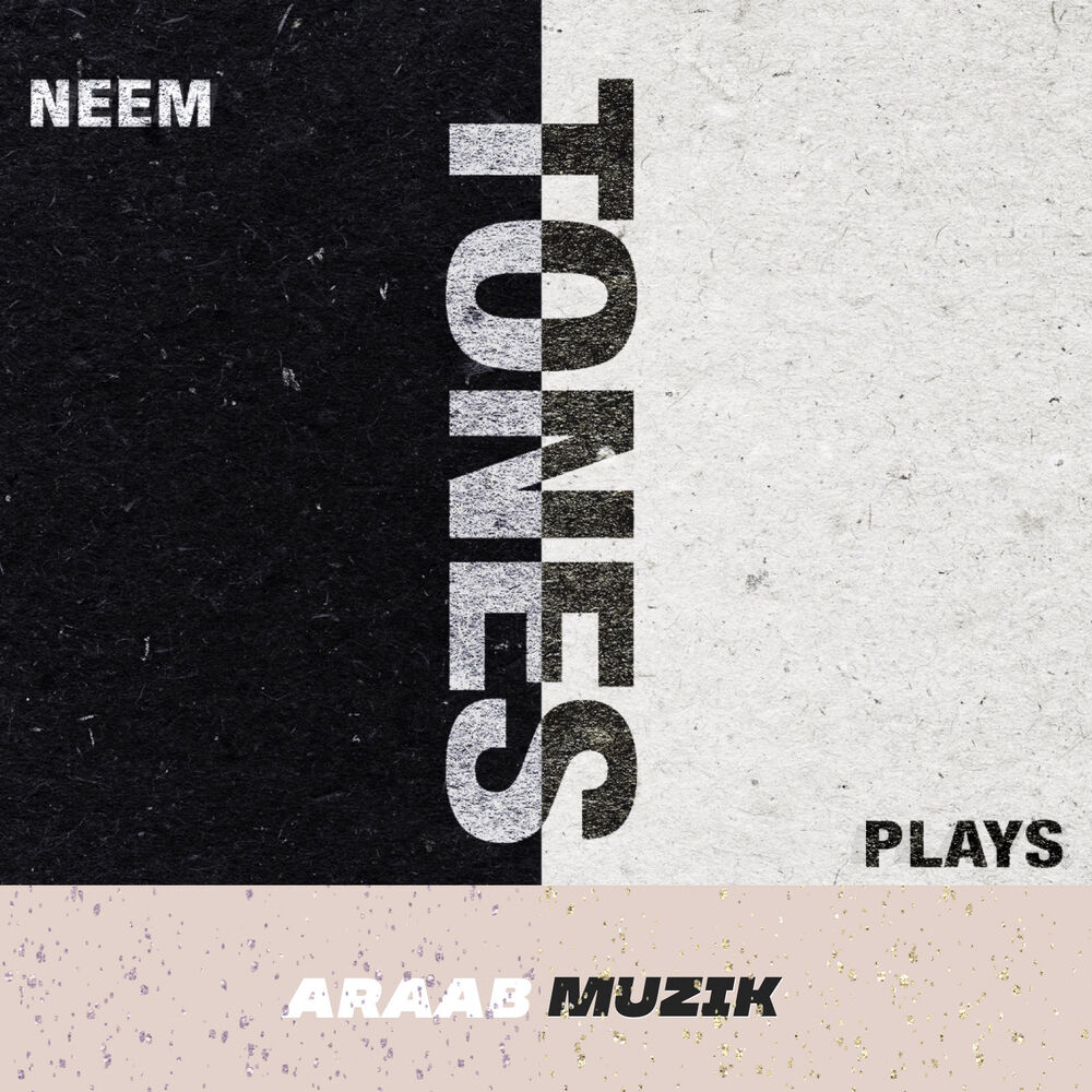 Picture of Araab Muzik