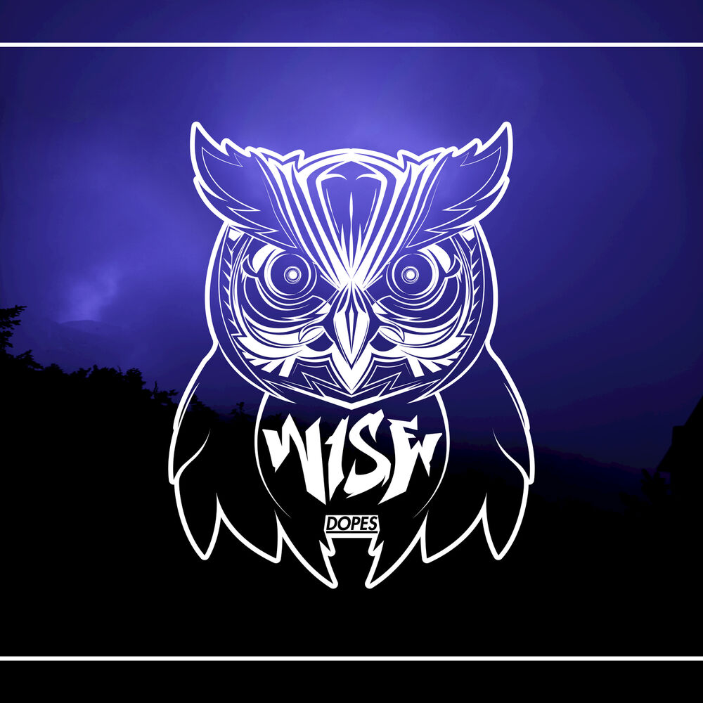 Picture of Wise Dopes