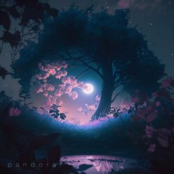 Picture of pandora.
