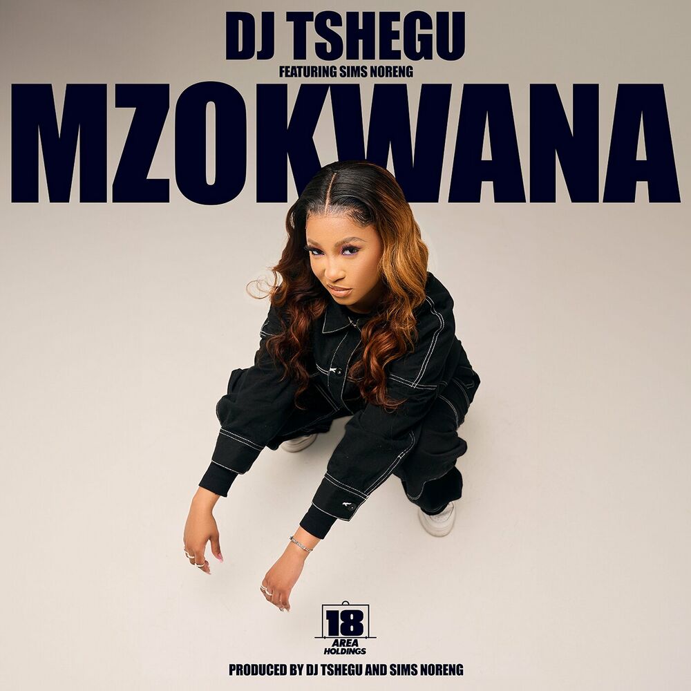 Picture of Dj Tshegu