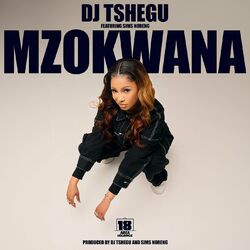 Picture of Dj Tshegu
