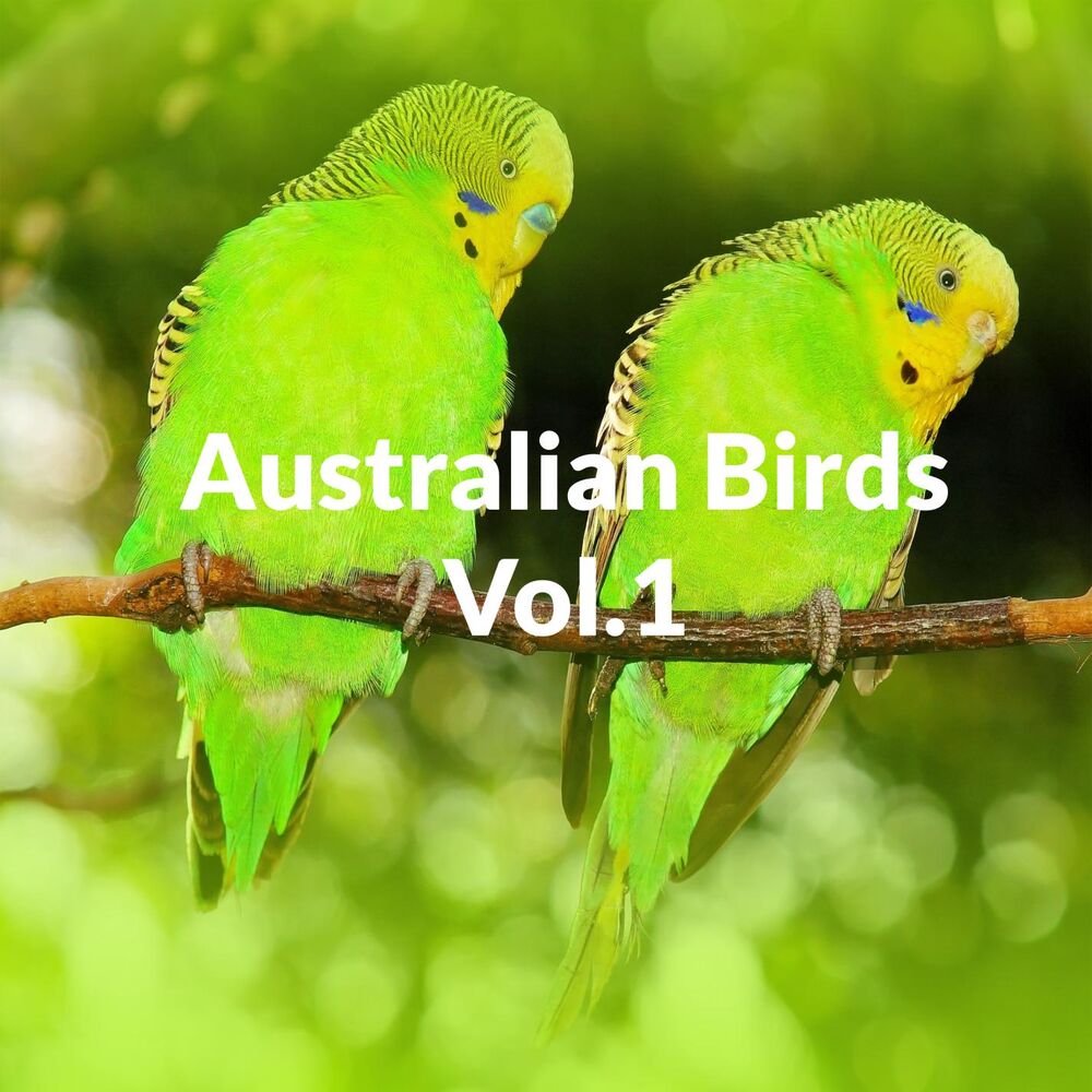 Picture of Australian Nature