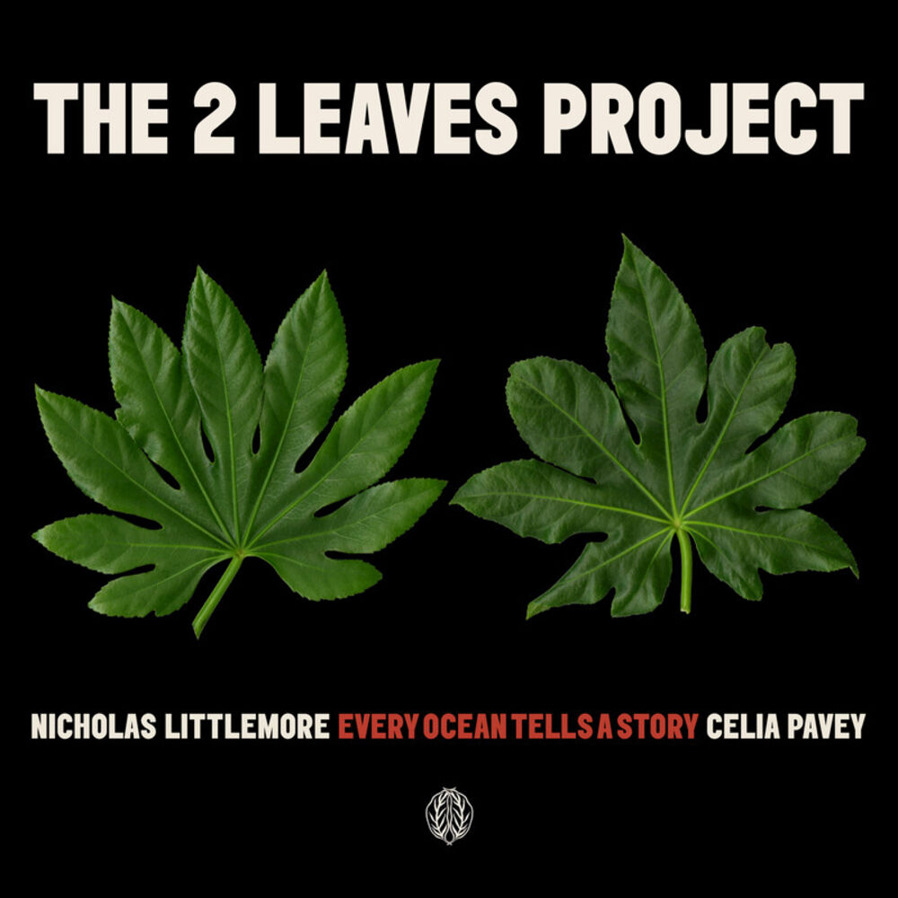 Picture of Nicholas Littlemore’s The Two Leaves Project