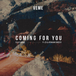 Picture of VEME
