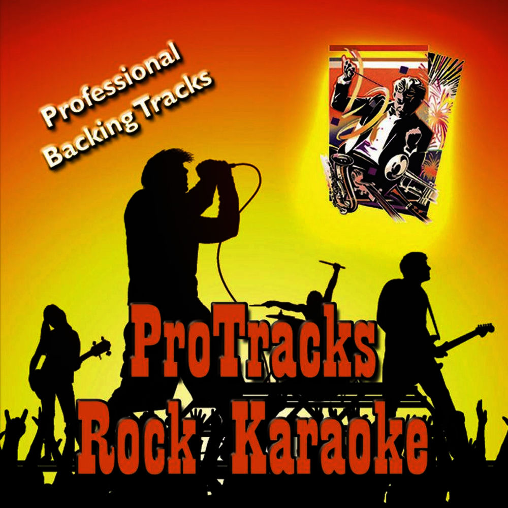 Photo de l'artiste ProTracks (Karaoke)