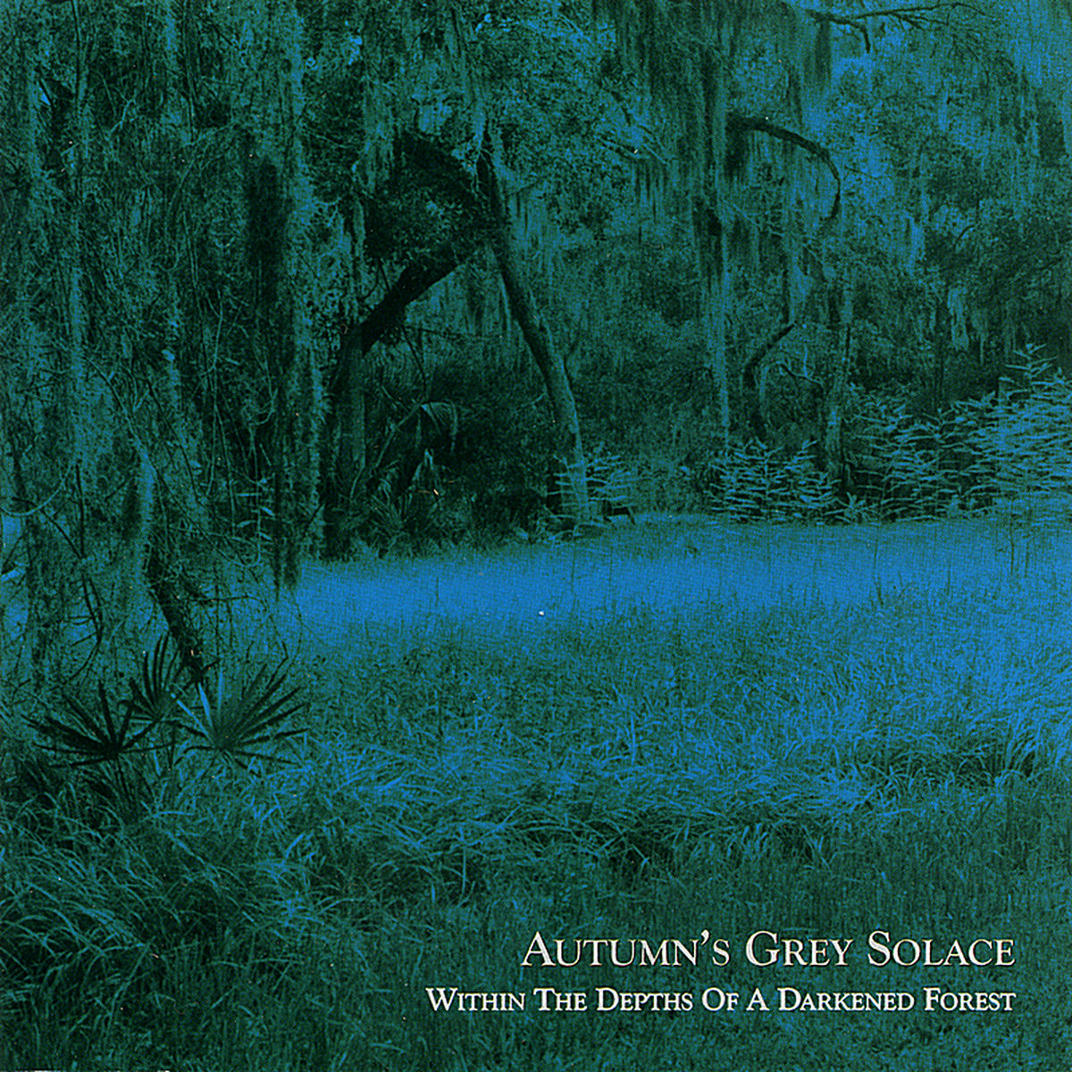 Autumn's Grey Solace