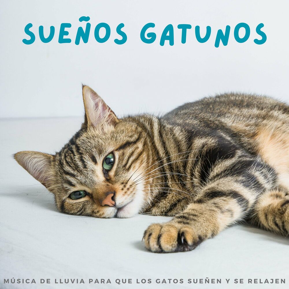 Picture of Relaja a mi gato