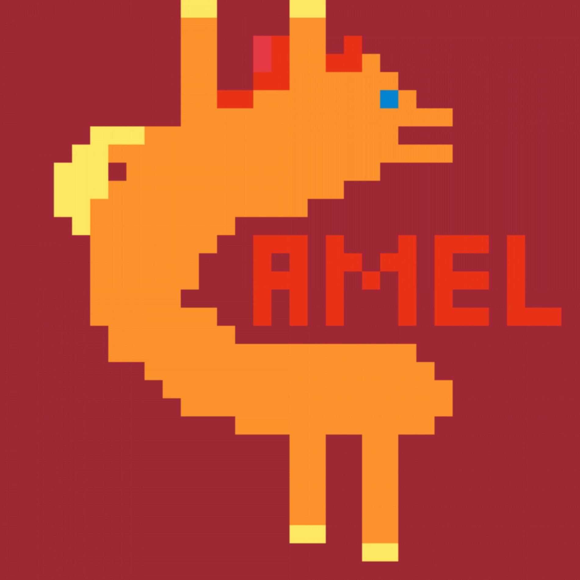 Princess Camel