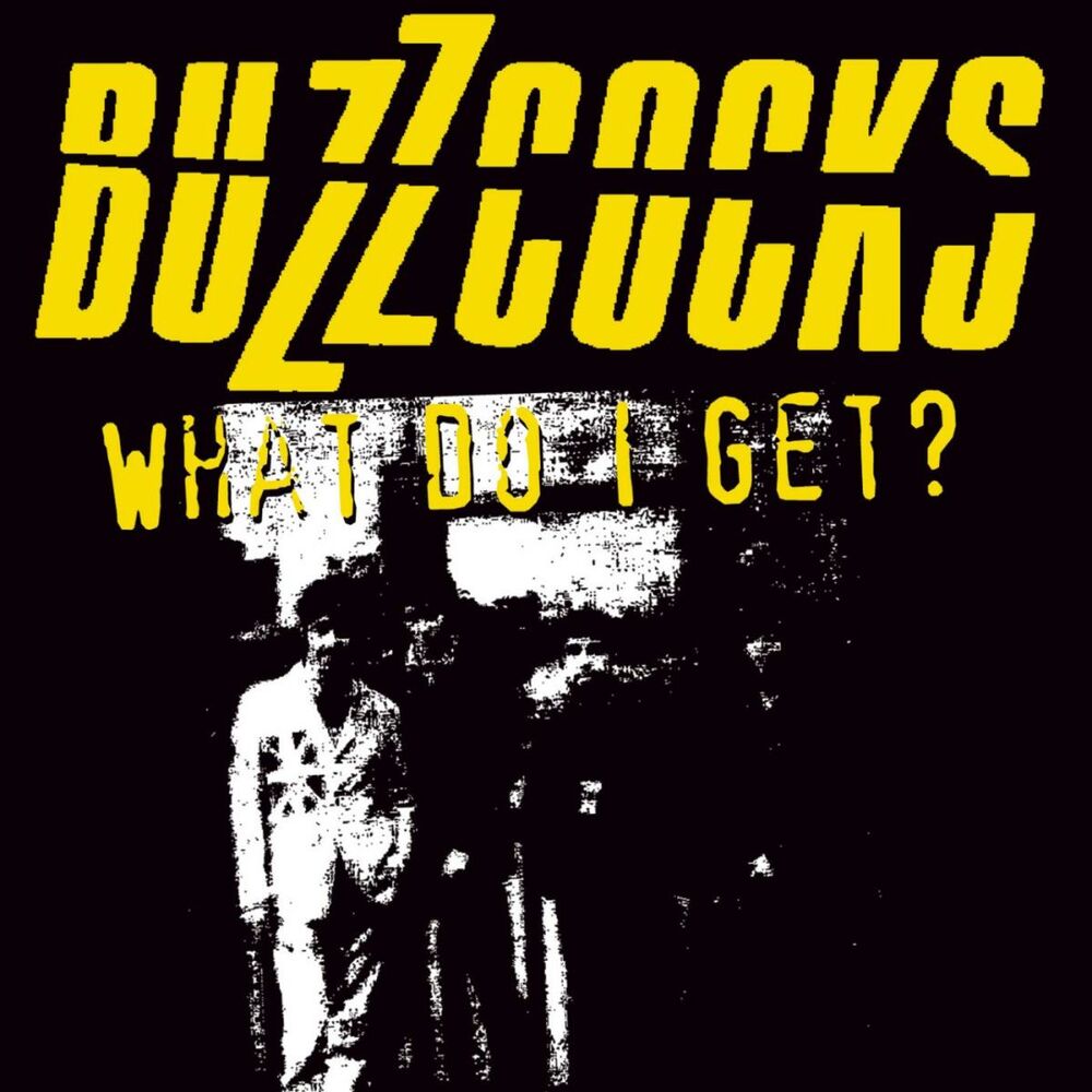 Picture of The Buzzcocks