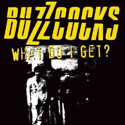 Picture of The Buzzcocks