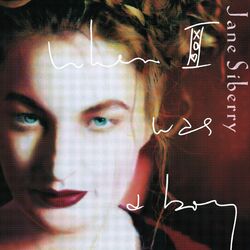 Picture of Jane Siberry
