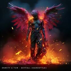 Picture of Enmity