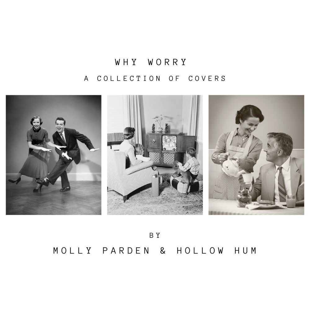 Picture of Hollow Hum