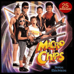 Micro Chips