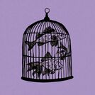Fish in a Birdcage