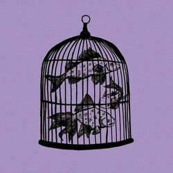 Fish in a Birdcage