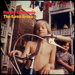 Picture of The Essex Green