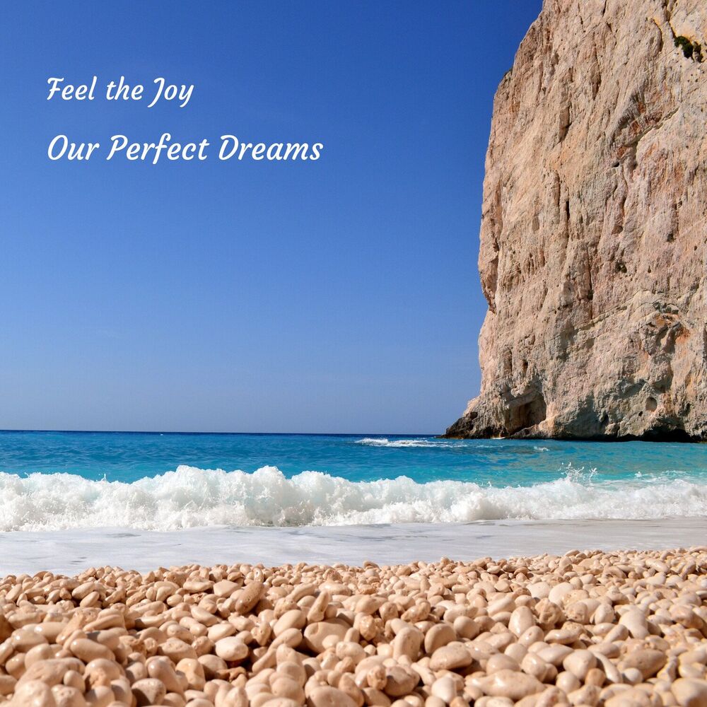 Picture of Feel the Joy