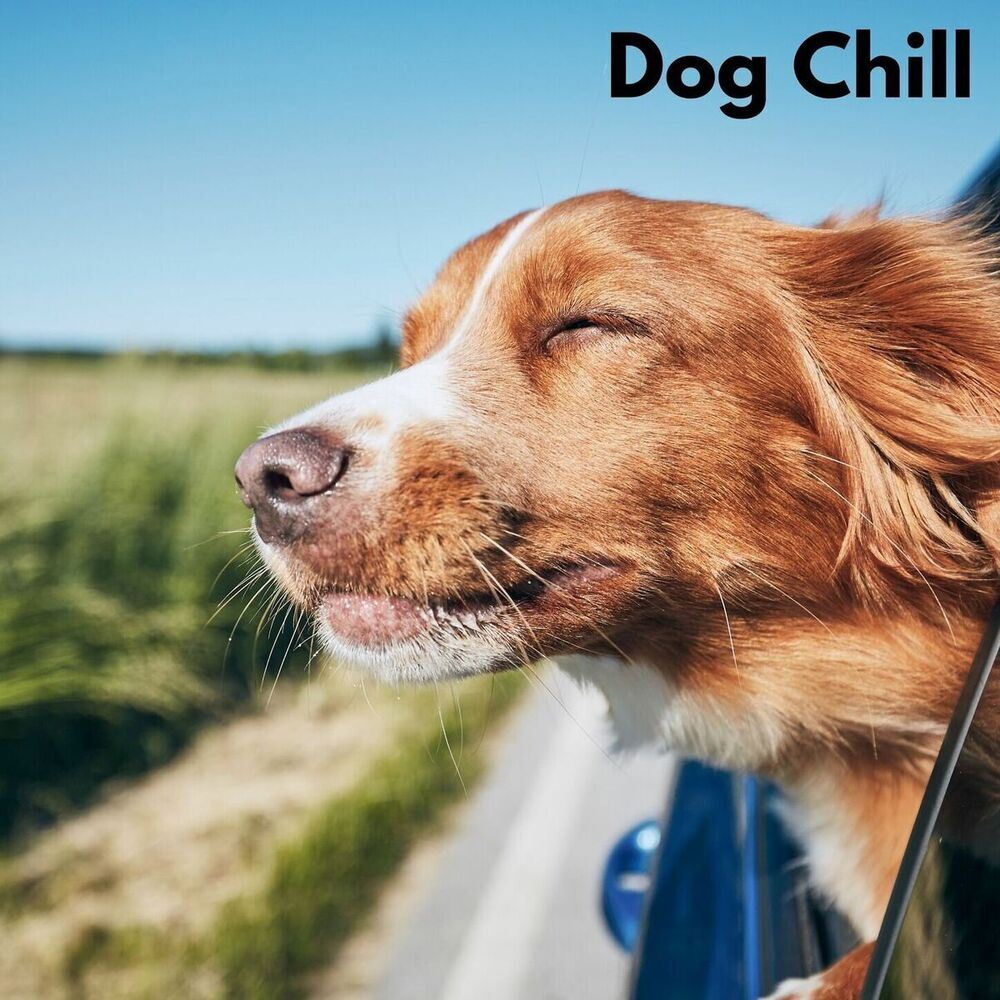Picture of Puppy Music