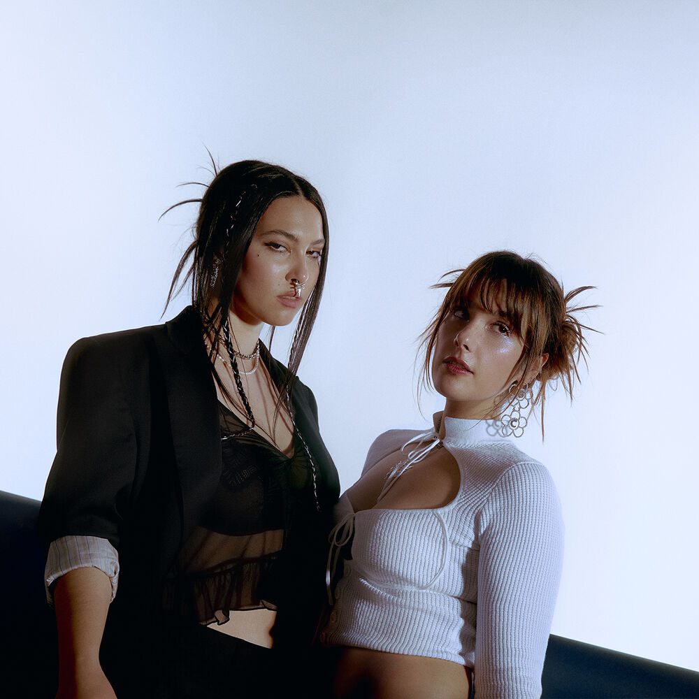 Picture of Milk & Bone