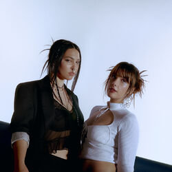 Picture of Milk & Bone