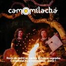 Camomila Chá