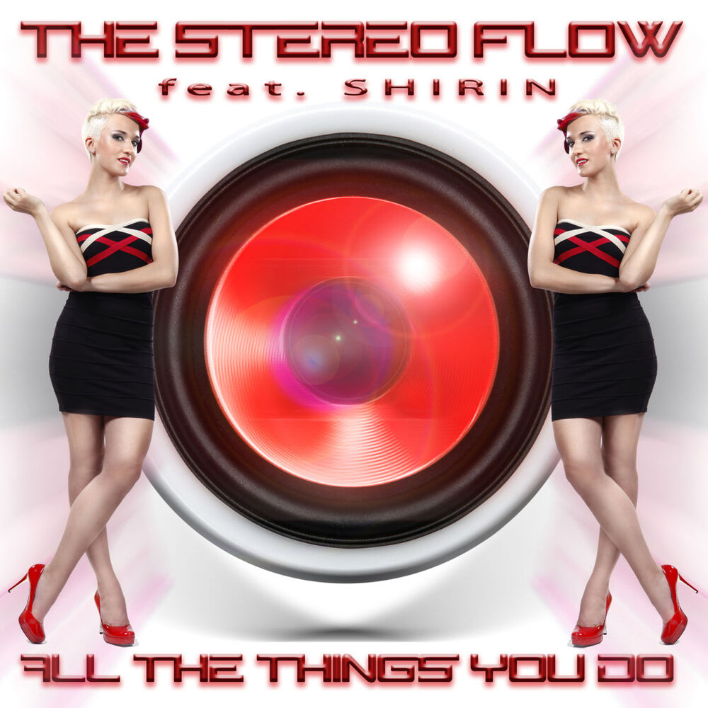 Picture of The Stereo Flow