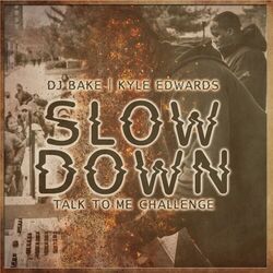 DJ Bake