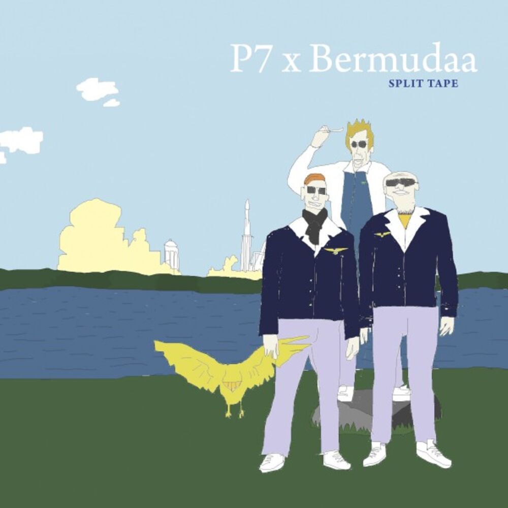 Picture of Bermudaa