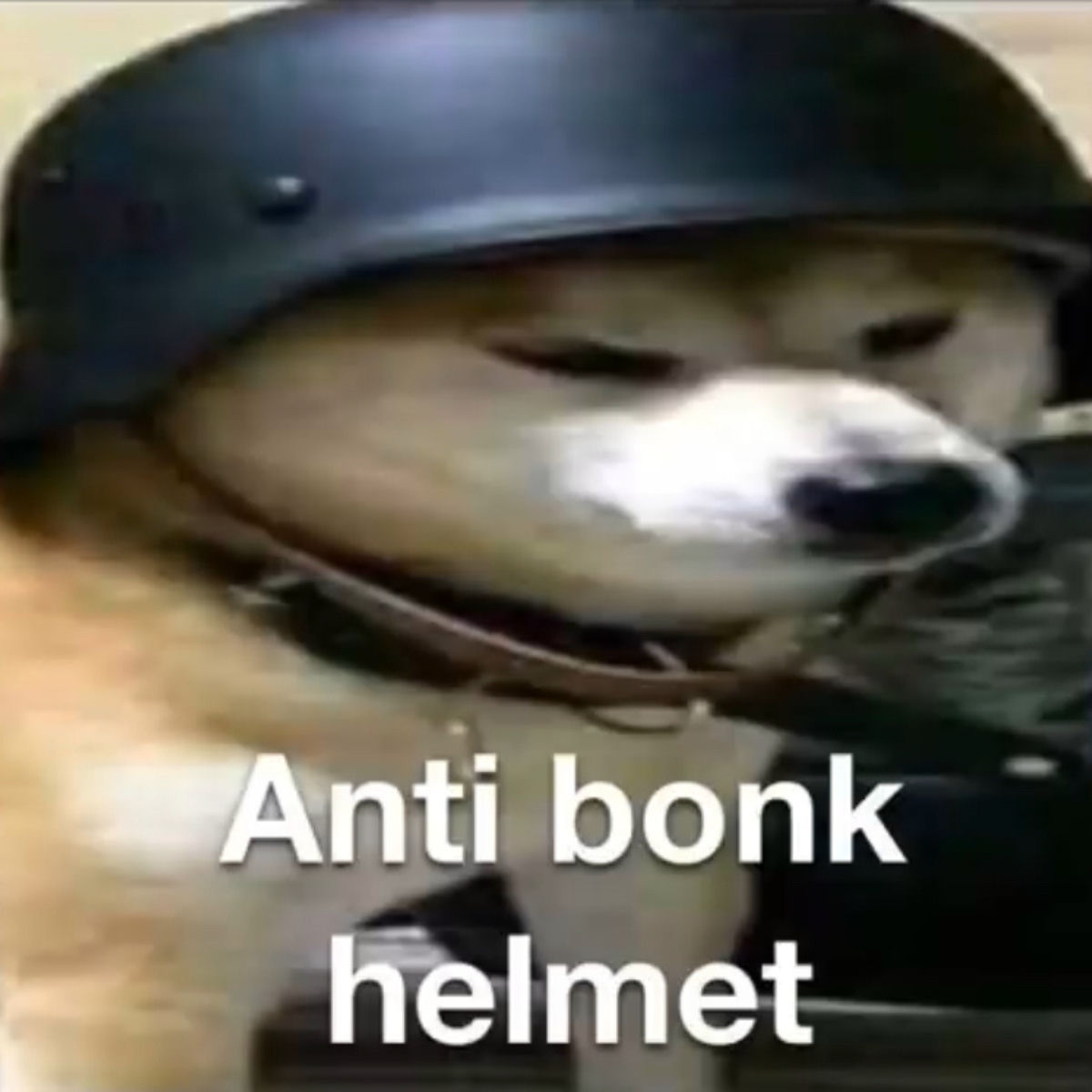 Artist picture of Rassey