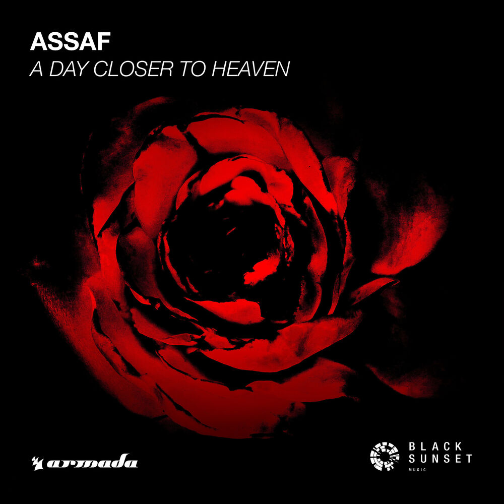 Picture of Assaf